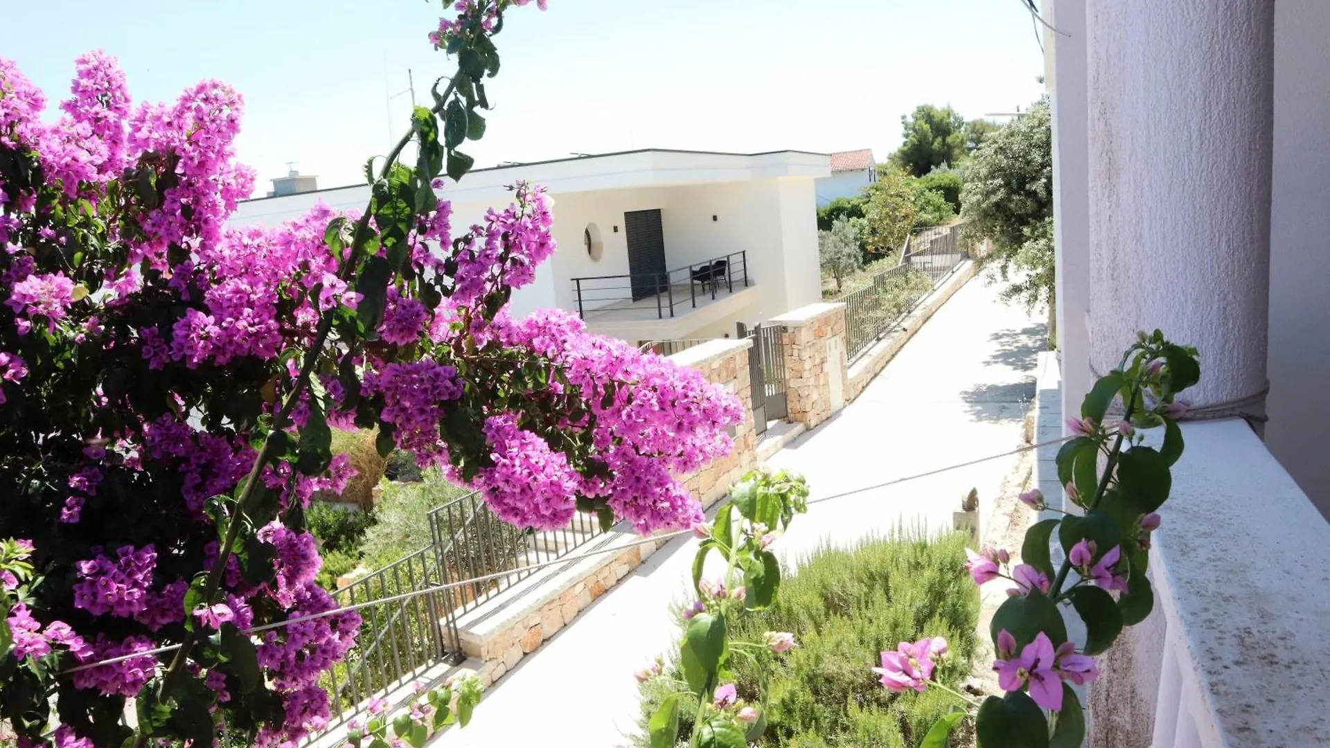 Villa Maris Veli Iž Croacia